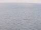 AIDAbella 08.06.2025 18:12