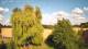 Mandelsloh 14.07.2025 18:22