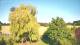 Mandelsloh 11.06.2025 18:12