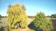 Mandelsloh 10.05.2025 18:12