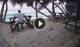 Anse Parnel (Mahé) 14.06.2025 18:13