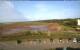Wolfville 08.06.2025 18:13