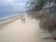 Punta Cana 27.05.2025 18:13