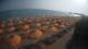 Castiglione della Pescaia 08.06.2025 18:14