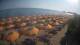 Castiglione della Pescaia 03.07.2025 18:13