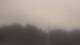 Wayland, Massachusetts 10.07.2025 18:34