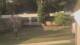 Cold Spring Harbor, New York 14.07.2025 18:34