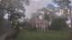Richmond, Virginia 17.03.2025 18:34