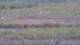 Les Landes-Genusson 09.06.2025 18:16