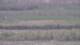 Les Landes-Genusson 08.05.2025 18:16