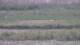 Les Landes-Genusson 08.05.2025 18:16