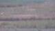 Les Landes-Genusson 14.06.2025 18:16