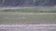 Les Landes-Genusson 16.03.2025 18:17