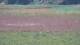 Les Landes-Genusson 10.07.2025 18:16