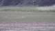 Les Landes-Genusson 11.05.2025 18:16