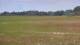 Les Landes-Genusson 05.07.2025 18:16