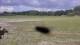 Les Landes-Genusson 10.05.2025 18:16