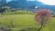 Abtenau 30.04.2025 18:17