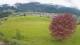 Abtenau 25.04.2025 18:17