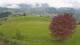 Abtenau 22.03.2025 18:17