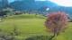 Abtenau 29.04.2025 18:17