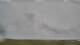 Carinish 30.06.2025 18:18