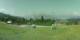 Cordon 08.06.2025 18:18