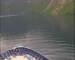 Mein Schiff 2 08.06.2025 18:19