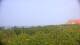 Zuydcoote 08.06.2025 18:19