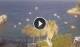 Taormina 08.06.2025 18:19