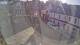 Lerwick (Shetland) 01.07.2025 18:19
