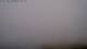 Sumburgh (Shetland) 09.07.2025 18:19