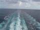 Costa Diadema 16.03.2025 18:21