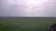 Vains 29.04.2025 18:21