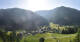 Donnersbachwald 14.06.2025 18:21