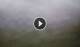 Syðrugøta 01.06.2025 18:22