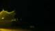 Bel Ombre 08.06.2025 18:22