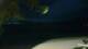 Le Morne 30.04.2025 18:22