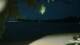 Le Morne 22.03.2025 18:22