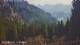 Schwangau 29.04.2025 18:23