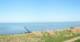 Nebel (Amrum) 30.04.2025 18:23
