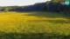 Medvode 30.04.2025 18:26
