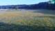 Medvode 29.04.2025 18:26