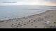 Benicàssim 05.07.2025 18:26