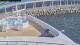 Norwegian Dawn 14.06.2025 18:27
