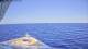 Norwegian Gem 08.05.2025 18:27
