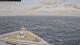 Norwegian Pearl 30.04.2025 18:27