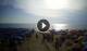 Tirrenia 05.07.2025 18:27