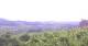 Valdobbiadene 14.06.2025 18:27