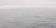 AIDAbella 24.06.2025 18:49